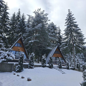 Преживей (не)ВЕРОЯТНА почивка на брега на язовир Доспат в A-frame вила
